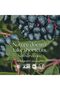 Fermented Zinc Complex for Immune & Skin Health with Copper, 30 Count - 5