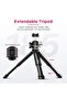 Mini Tripod with 360° Ball Head & Cold Shoe for Vlogging - 4