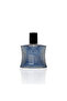 Aftershave Lotion for Men - Smoothen Skin- Lasting Freshness -Oceans 100ml - 2