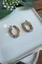 Stone Flower Design Earrings Steel Gold - 2