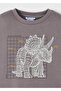 Printed Long Sleeve T-Shirt for Ages 4-10 - Gray - 6