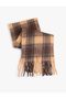 Tasseled Plaid Patterned Soft Textured Long Scarf