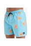 Everyday Straight Volley 15 Men's Blue Sea Shorts Eqyjv04121-Mabb - 5