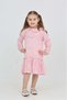 Girl's Floral Embroidered Baby Collar Dress