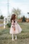 Rosa Velvet Puffy Tulle Girl's Dress Pink - 4
