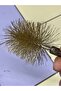Heating Boiler Brush 7.5 No 1 Piece 75 mm - 3