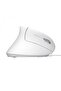 Mouse Verto Ergo Alb - 2