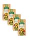 Bruschette Chips Mediterranean Vegetable Baked Snack 4 Pieces X 70 Gr
