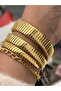 Stone Snake Watch from Thick to Thin (2 Rounds), Small Case (24 Diameter), 3 Atm Gold Steel Band, Bracelet - 5