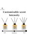 Oud Reed Diffuser, Best Aromatherapy Perfume, Oil & Reed Diffuser Sticks- 100 ml - 4