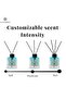 Ocean Reed Diffuser, Best Aromatherapy Perfume, Oil & Reed Diffuser Sticks- 100 ml - 4