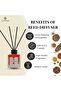 Spice Joy Reed Diffuser, Best Aromatherapy Perfume, Oil & Reed Diffuser Sticks- 100 ml - 3