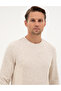 Beige Regular Fit Sweatshirt 50313991-Vr011 - 2