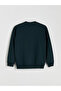 Crew Neck Long Sleeve Men's Thick Sweatshirt - 7