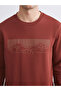 Crew Neck Printed Men's Thick Sweatshirt - 3