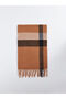 Lcw Accessories Beige Plaid Pattern Tassel Men's Scarf - 2
