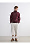 Burgundy Zippered Stand Collar Men's Thick Sweatshirt - 2
