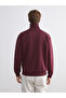 Burgundy Zippered Stand Collar Men's Thick Sweatshirt - 4