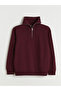 Burgundy Zippered Stand Collar Men's Thick Sweatshirt - 6