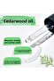 Cedar Tree Oil 10 ml - 2