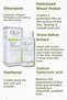 Norm Makeup and Skin Cleansing Micellar Water 200ml - 2
