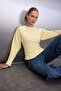 Light Yellow Thick Unbrushed Fitted Crew Neck Knitted Sweatshirt TWOAW26SW00068 - 5