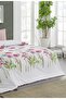 Kristal Ranforce Double Duvet Cover Set |   100% Cotton |   57 Tel |   4 Pieces |   Luxury Box - 2