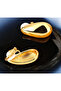 Long Drop Drop Model Clip-On Women's Earrings - Non-Pierced Earrings - 3