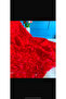 Rose Fabric - 3