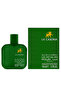 SOLITUDE GREEN EDT 100ML - Fresh Citrus & Musk - 3