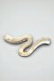 French Style Big Wave Acrylic Hair Clip - Wave Model Hairpin