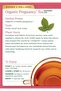Organic Raspberry Leaf Pregnancy Tea - 16 Bags - 3