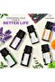 Top 6 Essential Oils Set - 10ml - 2