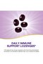 Sambucus Immune Lozenges, Zinc & Vitamin C, Organic Elderberry, 24 Lozenges - 4