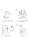 Cd Oxygen Moisture Size 12z Conditioner Oxygen Moisture 12z - 5
