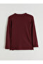 Burgundy Crew Neck Self-Patterned Women's Knitwear Sweater - 6