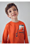Child Sweat 4-10 Years |   100% Cotton, Long Sleeve, Crew Neck, Printed, Soft Texture