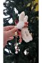 Embroidery Knitted Ribbon Decorated Bow Latch Buckle - 3