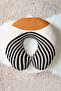 Modern Geometric Striped Neck Pillow - Retro Style Cream Black Tan Travel Pillow