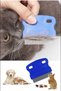 Cat Dog Flea And Flea Comb