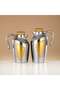 2 Pieces Vacuum Flask Set Matt Silver & Gold