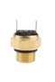 ATV 300cc Termostat - 3