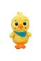 Pui Plus 15cm