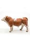 PAPOFIGURINATAURSIMMENTAL - 4