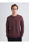 Plum Crew Neck Printed Men's Sweatshirt