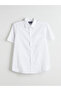 Regular Fit Short Sleeve Dobby Men's Shirt - 5