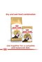 Dry Cat Food for Persian Cat 2kg - 6