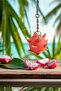 Clickable Dragon Fruit Stress Relief Toy, Gift Keychain and Bag Accessory |   Draglix - 7