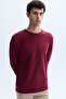 Men's Brown Crew Neck Sweatshirt