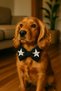 Adjustable Cat Dog Bow Tie - 2
